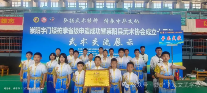 武动崇阳，荣耀加冕！咸宁子龙文武学校斩获武术交流展示一等奖